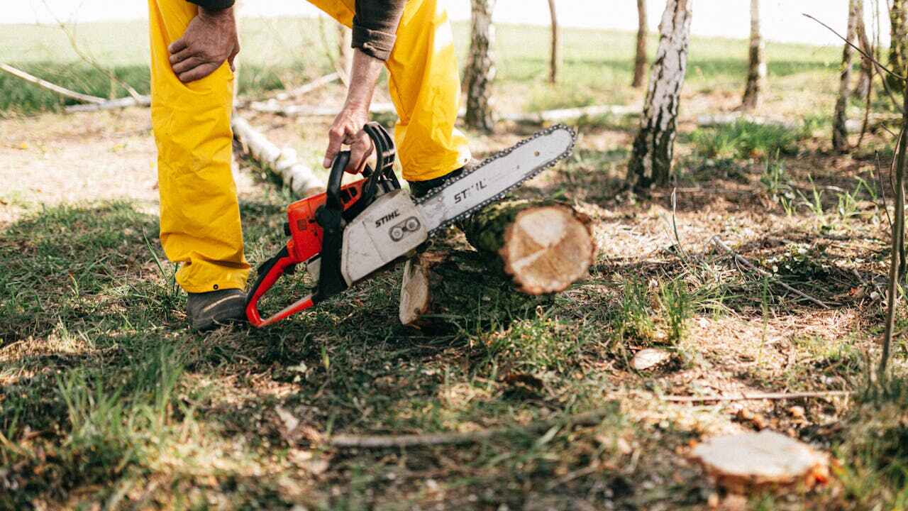  Bayonet Point, FL TreeGuard Tree Service Pros